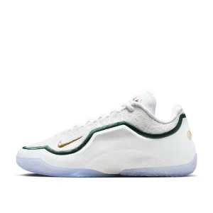 Lebron Xxiii From This Point Forward