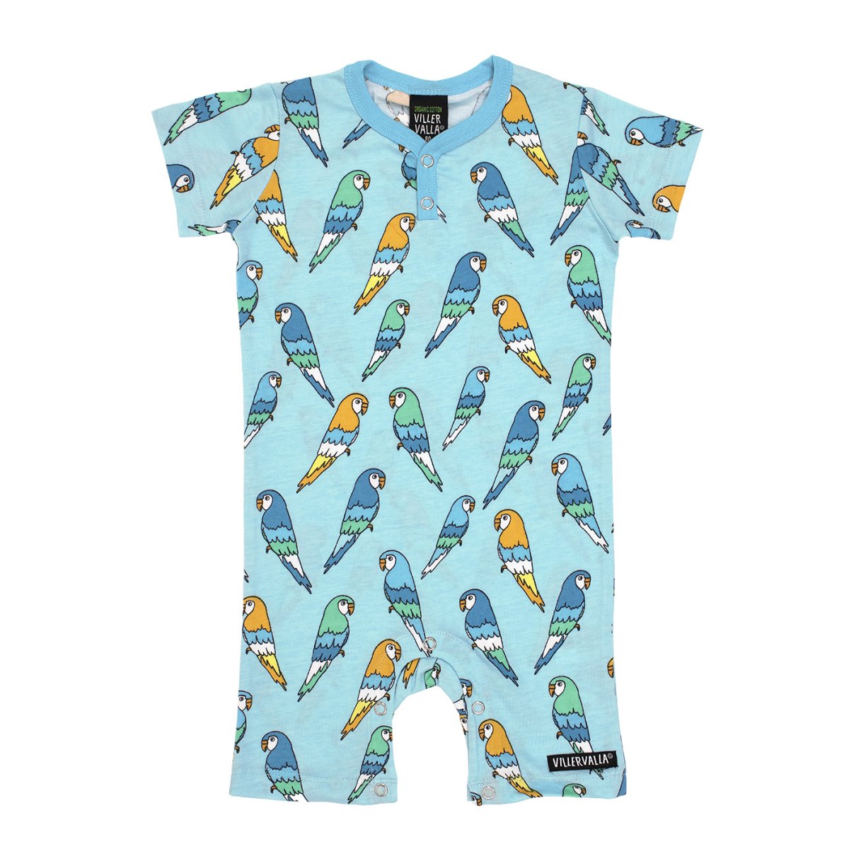 TUTINA BUDGIE – ARUBA