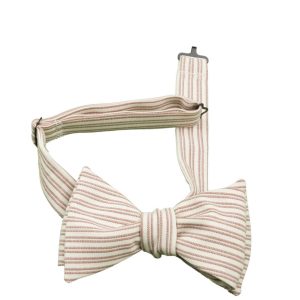 Papillon da annodare