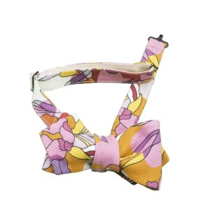 Papillon da annodare