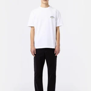 Pantalone Dickies Carpenter Stone Washed Black