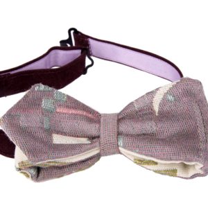 Papillon annodato, colorato, detto anche Cravattino